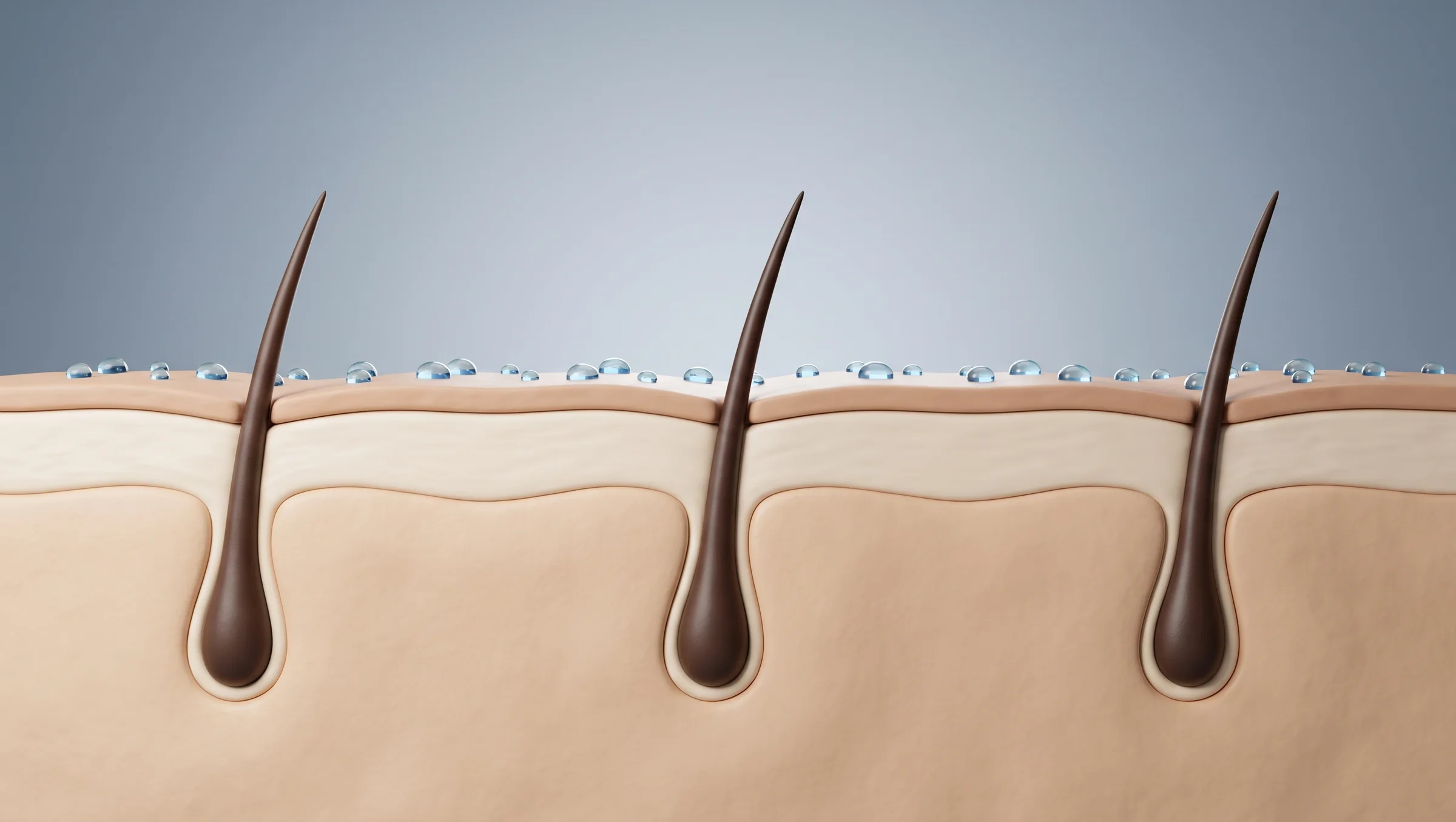 Illustrated scalp cross-section with blue serum droplets resting on top of the skin surface
